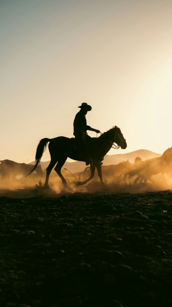 A rider and horses moving across a landscape at sunset