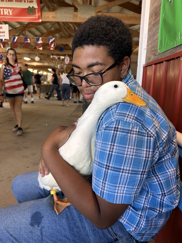 Tai Lin holding a white duck at the county fair