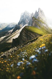 The Seceda mountains in Ortisei, Italy, with a green ridge and yellow wildflowers. Non-identifying stock photograph.