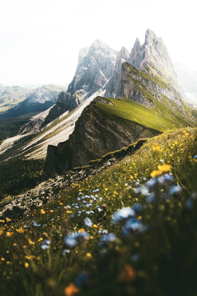 The Seceda mountains in Ortisei, Italy, with a green ridge and yellow wildflowers. Non-identifying stock photograph.